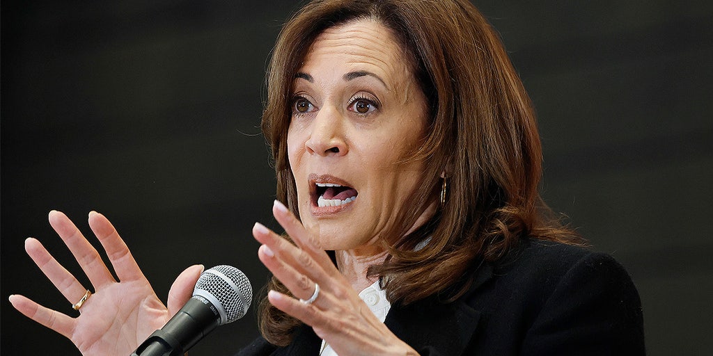 Harris says lack of time to campaign doomed 2024 bid