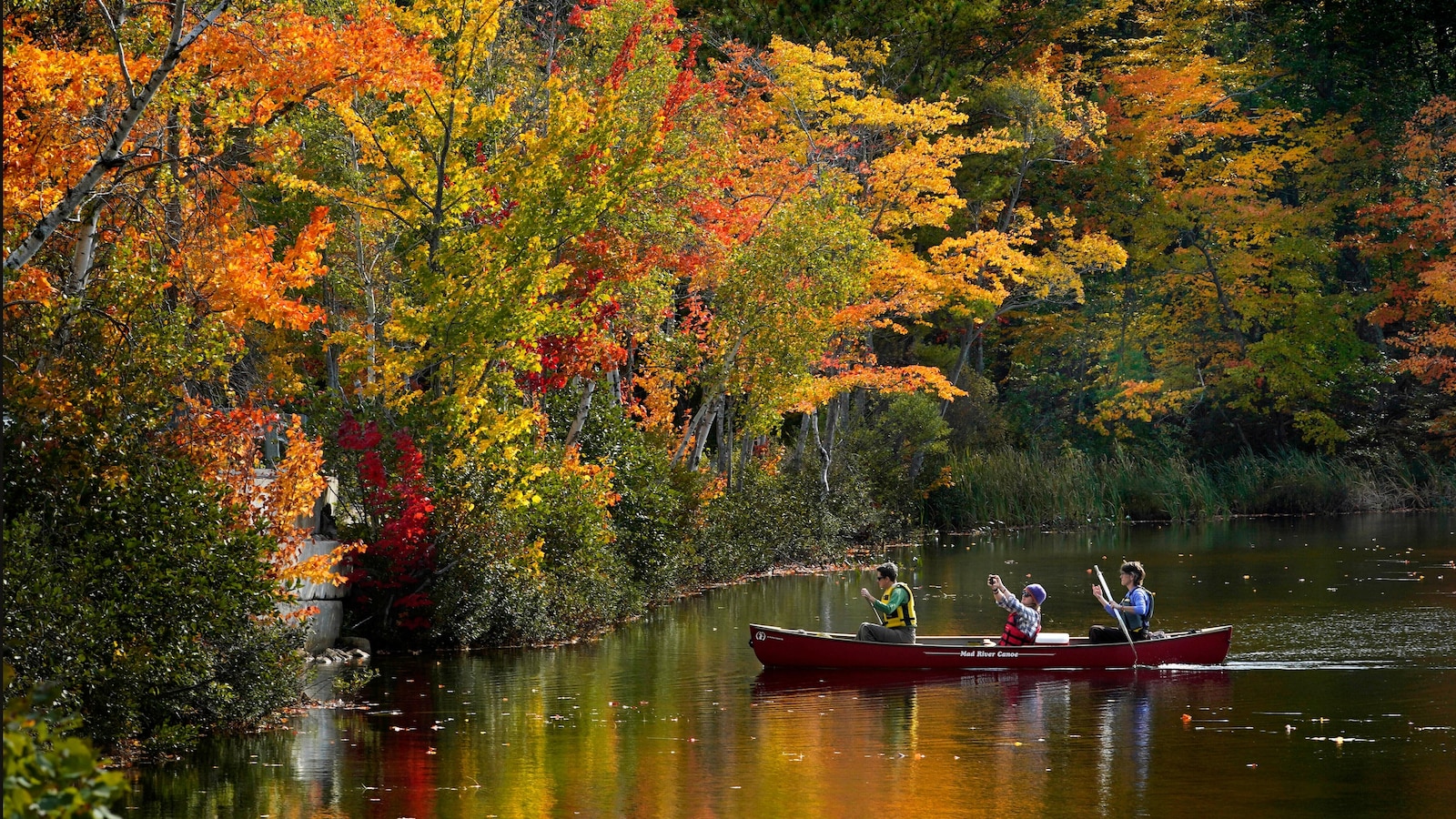 Fall equinox arrives as day and night balance for a moment