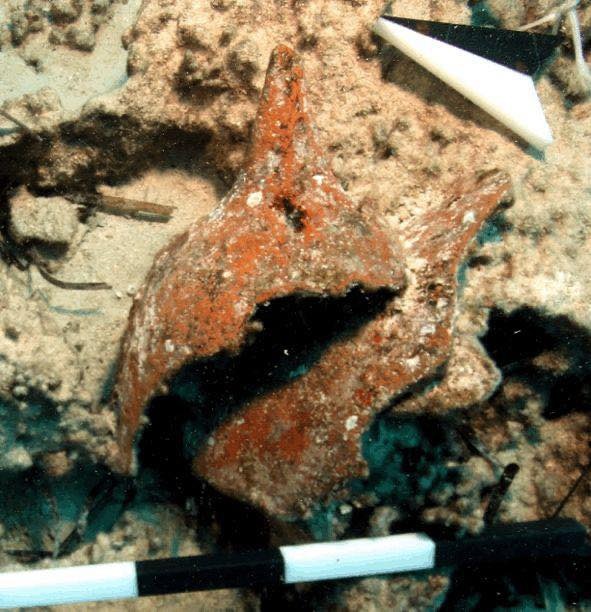 Excavation progress at Taposiris Magna