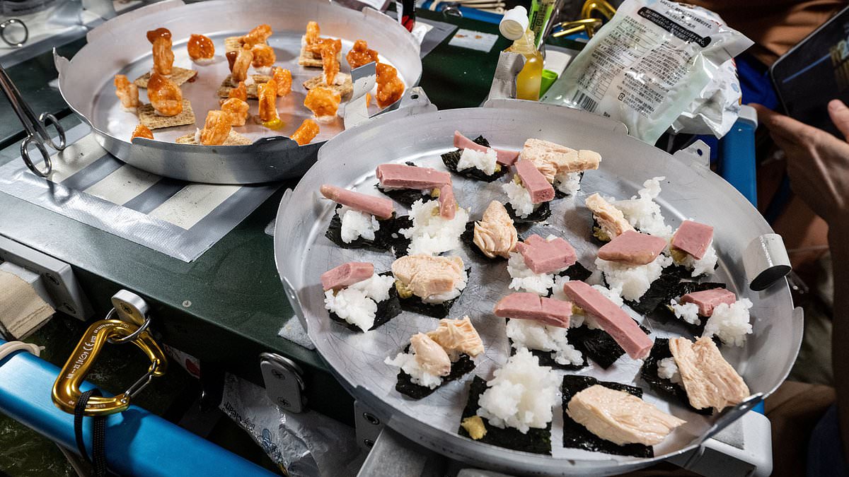 NASA space sushi on the ISS draws mixed reactions as space kitchen posts go viral
