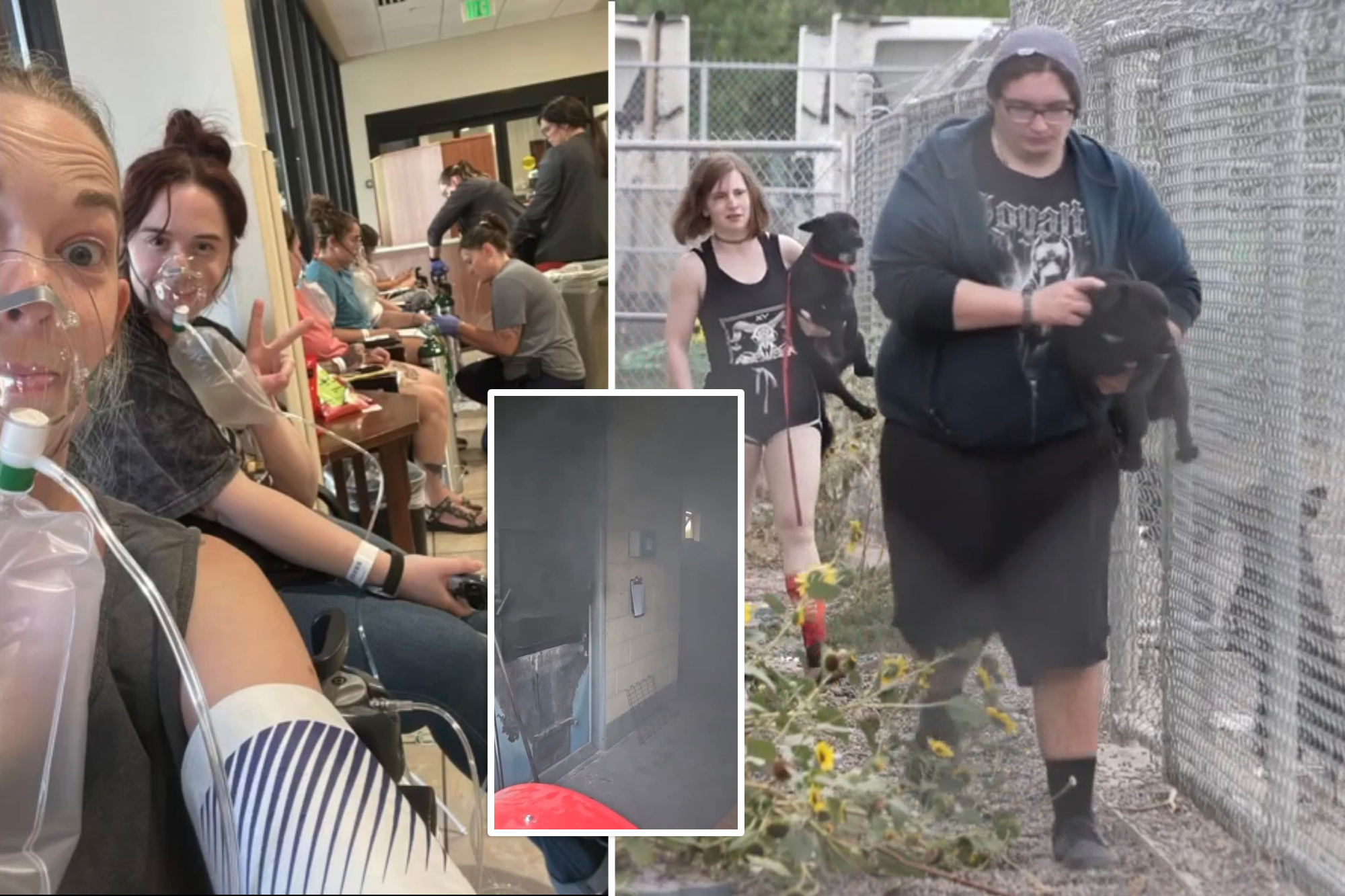 14 Montana animal shelter workers hospitalized after meth evidence burn sends fumes through building