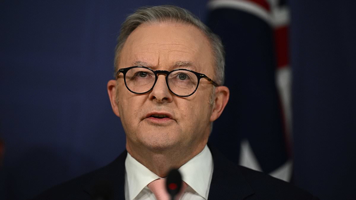 Experts call Albanese net-zero claim a 'bald-faced lie' as costs shift to taxpayers