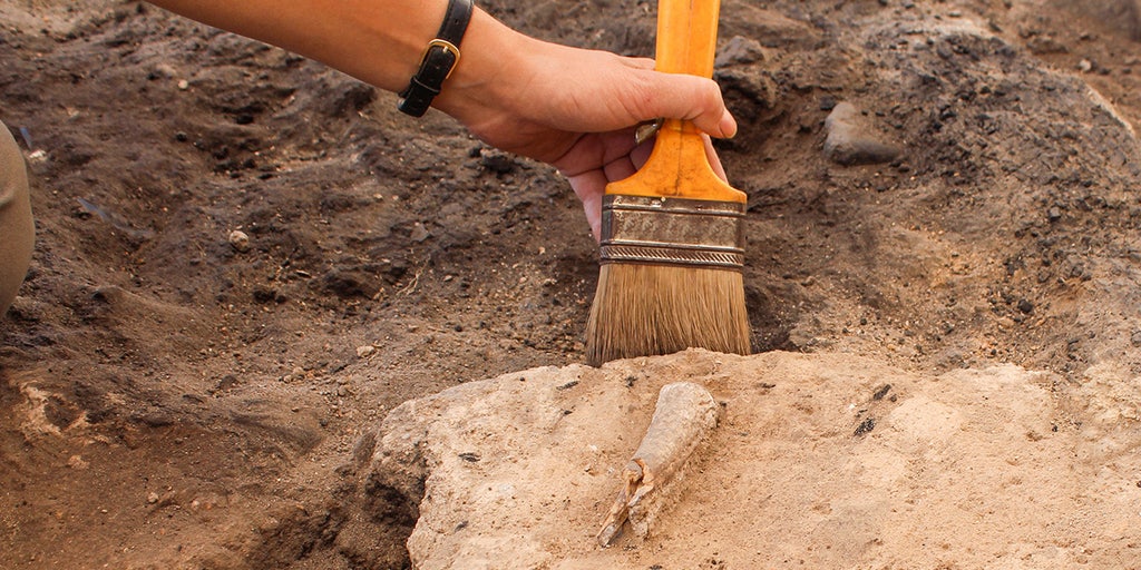 Arkaim Bronze Age settlement image again?