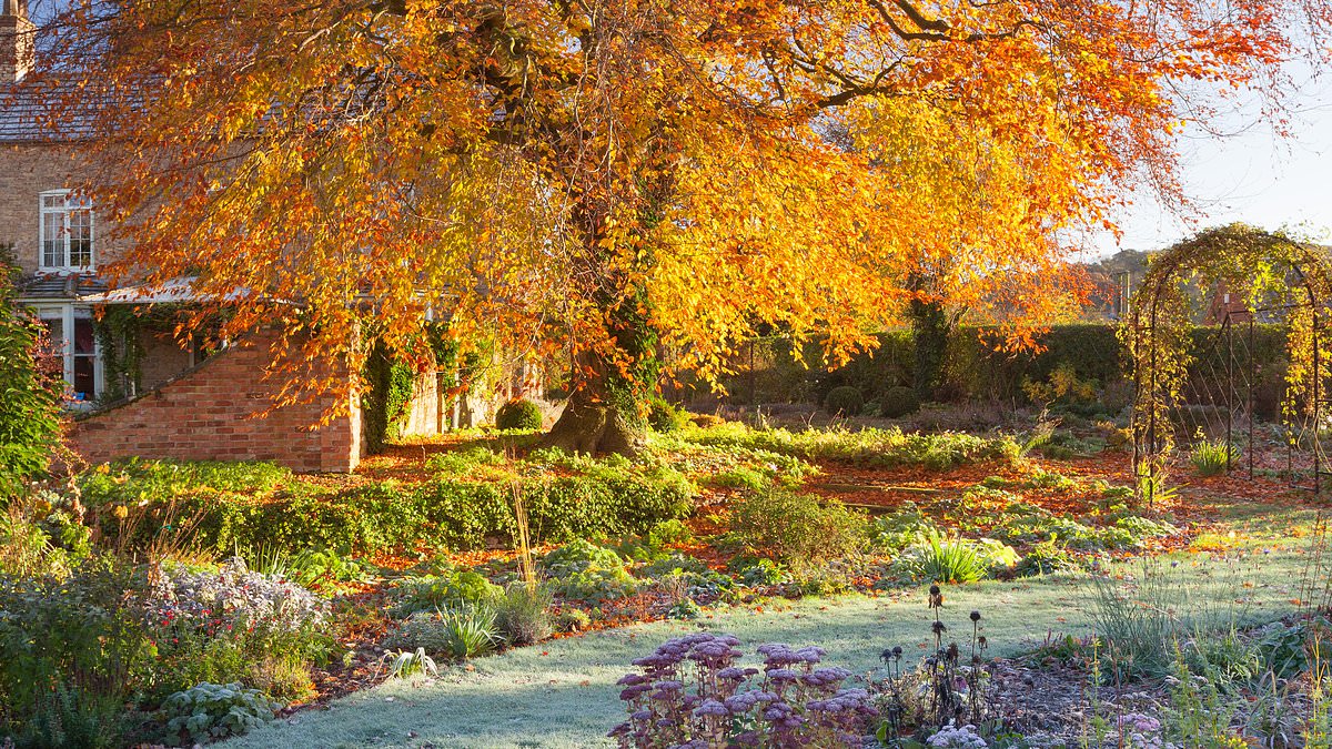 Experts flag 14 autumn gardening mistakes that can undermine next year’s growth