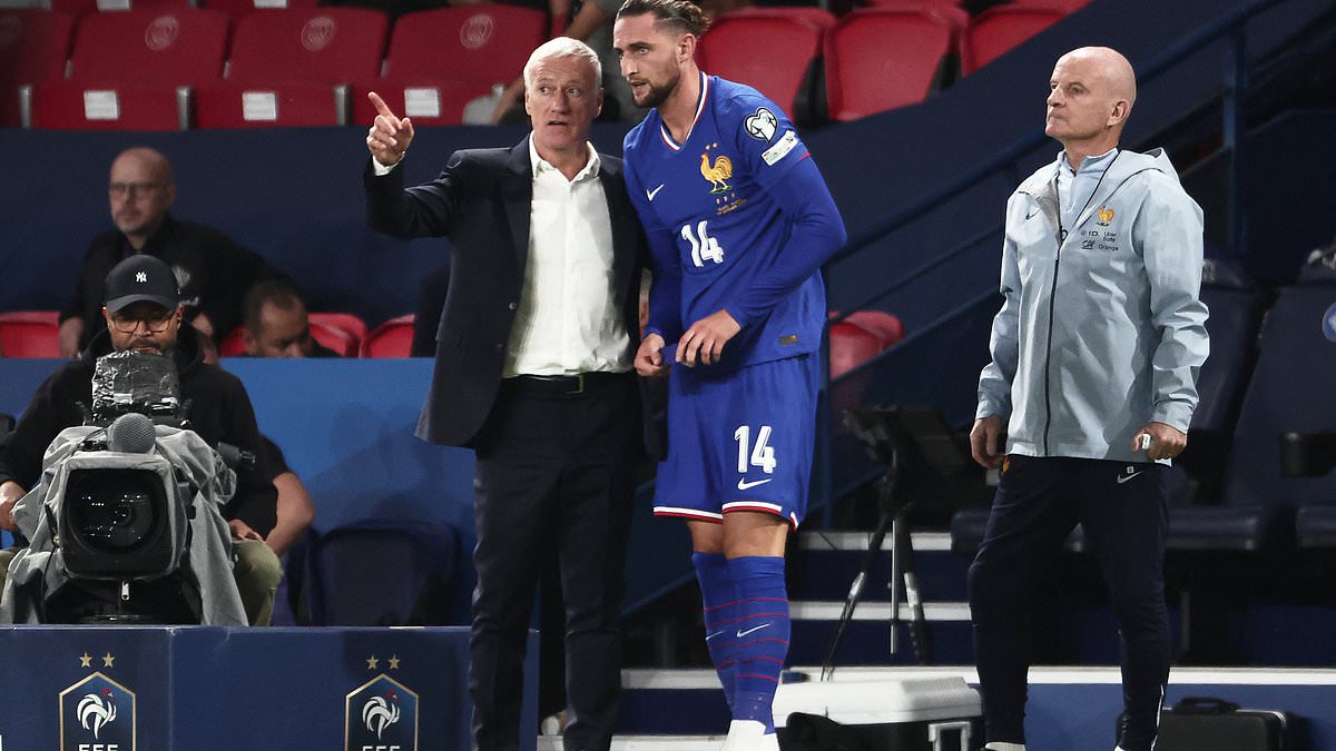 Didier Deschamps criticises fans after Adrien Rabiot jeered during France win over Iceland