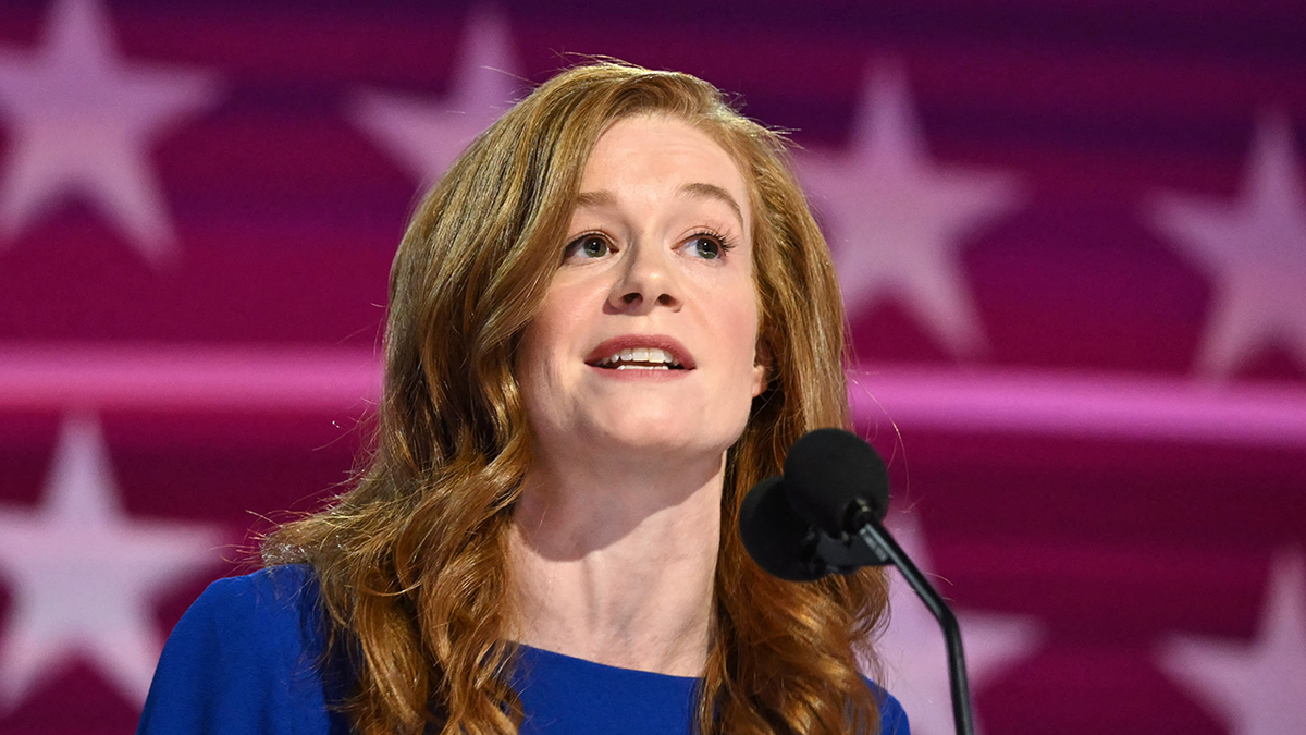 Michigan Democrat faces backlash after violent fantasy about conservative Supreme Court justices goes viral