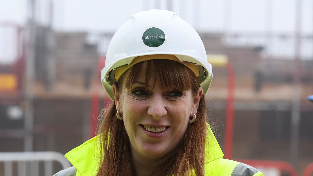 Ally of Angela Rayner criticizes plan for 20,000-home UK town