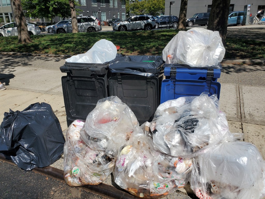 A corner of McCarren Park showing discarded items and litter