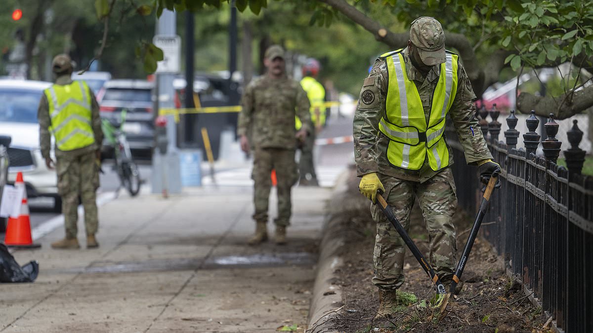 DC National Guard shifts from crime crackdown to park cleanup as lawmakers weigh costs