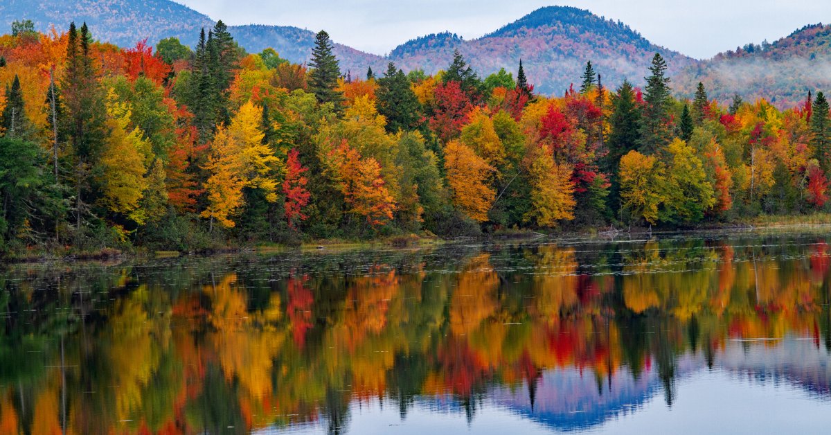 Climate Change Shifts Timing and Color of Fall Foliage Across the East