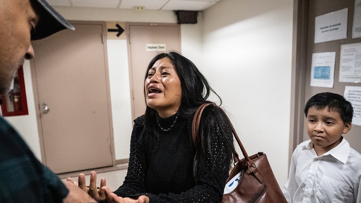 Video shows ICE agent shoving distressed woman outside NYC immigration court as husband is detained