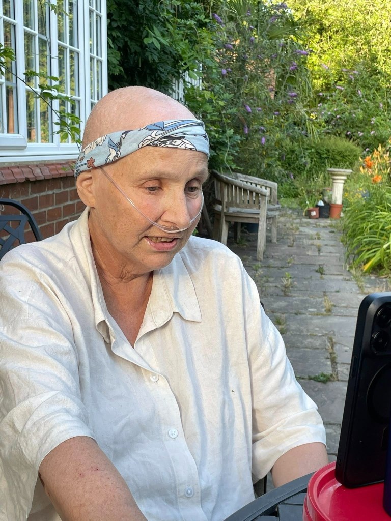 Doctor examining medical imagery