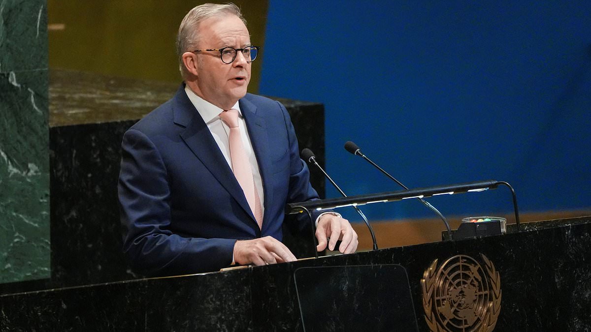 Australia backs Palestine at UN as Albanese touts two-state path amid US pushback
