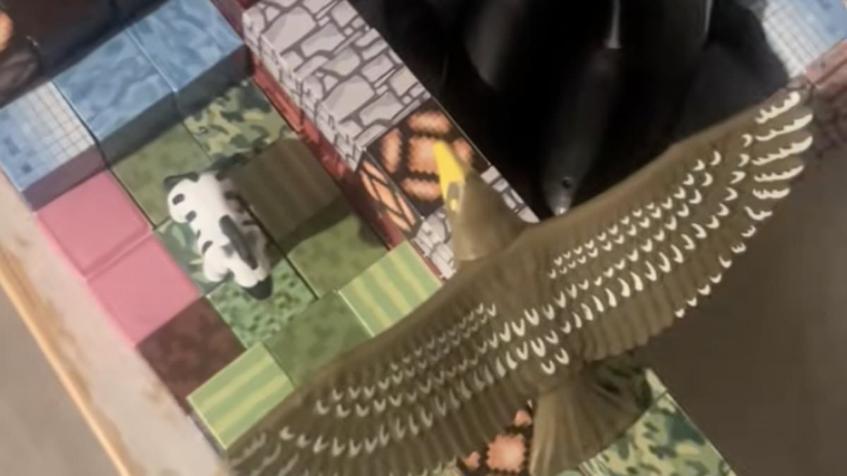 Toddler rushed to hospital after swallowing magnets from building-block toy, mother warns