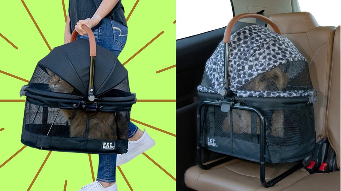 Veterinarians Say a Sturdier Carrier May Make Car Travel Safer for Small Pets, But Crash Tests Are Limited