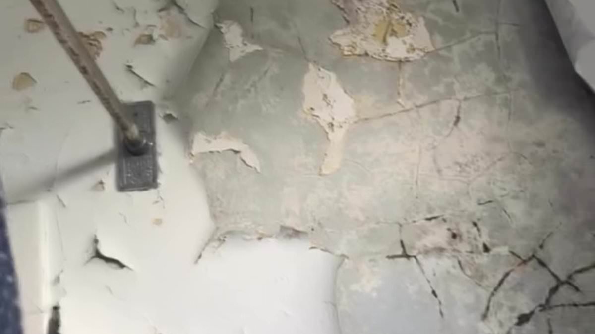 Sydney rental advertised as ‘neat and tidy’ found with hole, mould and rubbish in viewing footage
