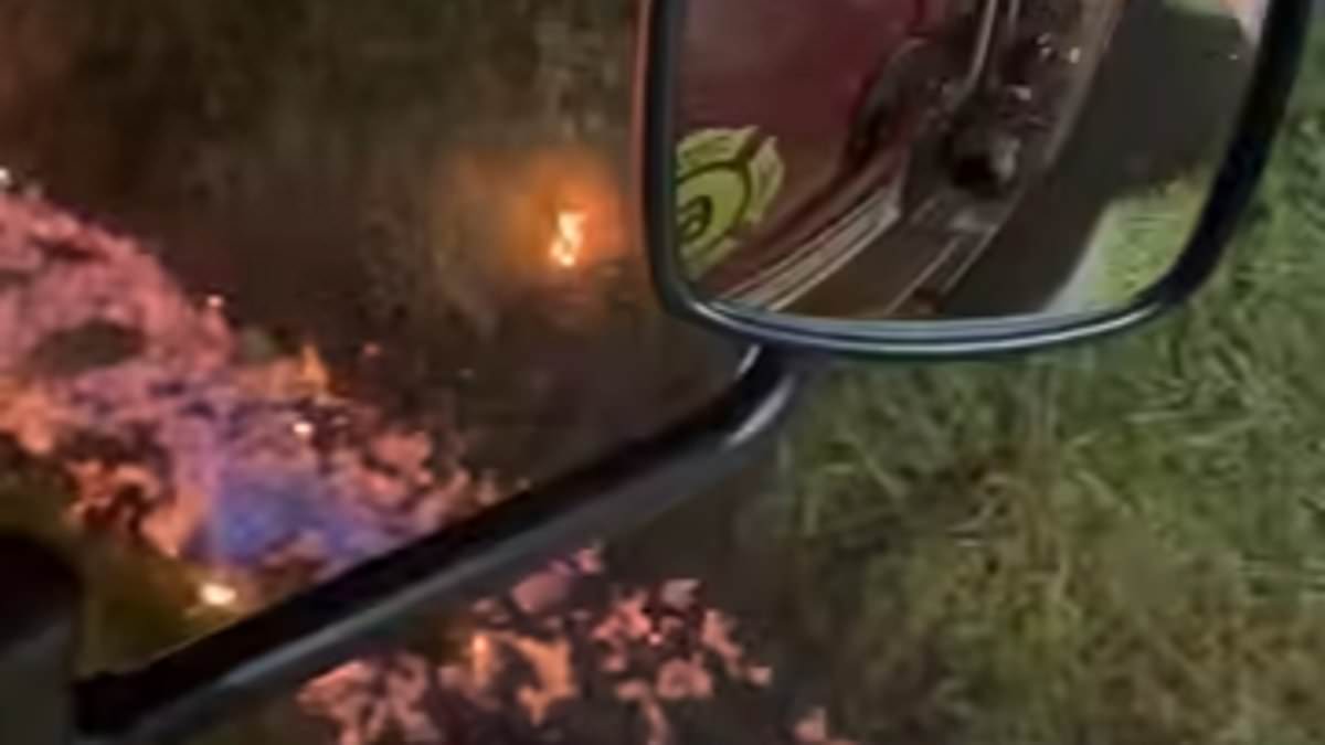 Expired hand sanitizer leak at Gorham warehouse sparks ditch blaze, renews environmental concerns