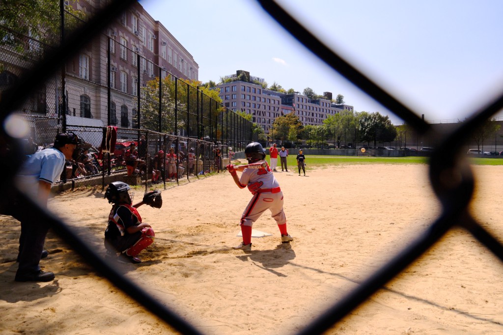 People and dogs at a city ballfield with damaged areas of turf visible