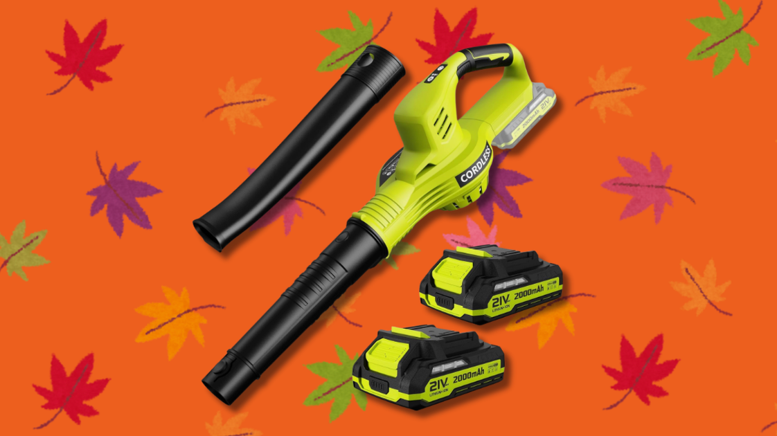 Lightweight Cordless Leaf Blower on Sale Is a Game Changer for Yard Work