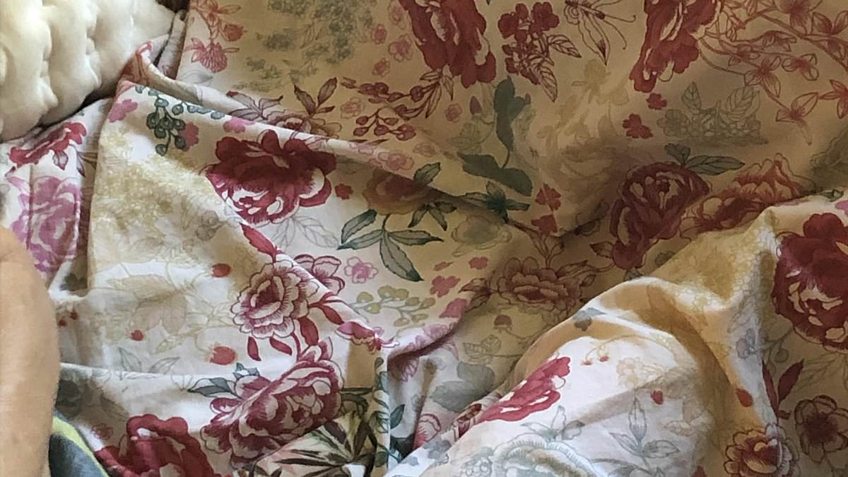Lighter Camouflaged in Floral Chair Triggers Viral 30-Second Illusion Challenge