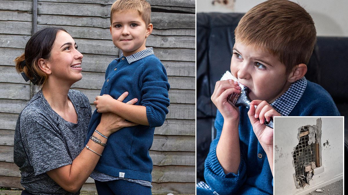 Family pleads for safe home as boy with autism and pica wrecks their house