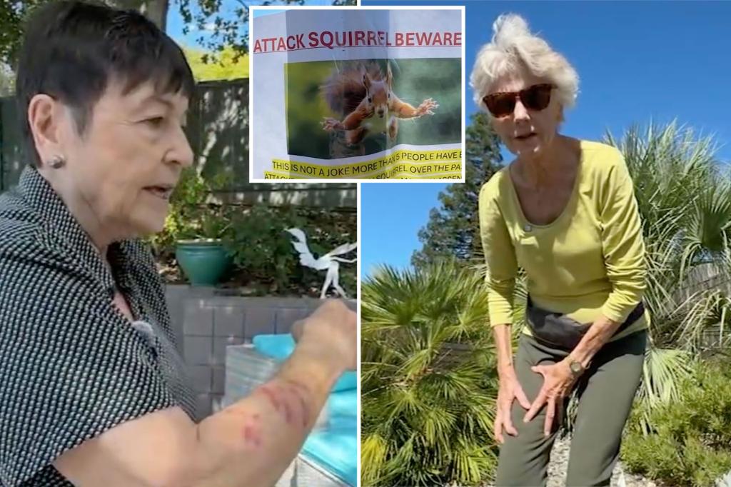Bloodthirsty squirrel terrorizes California neighborhood, sending 2 to ER: 'She almost killed me'
