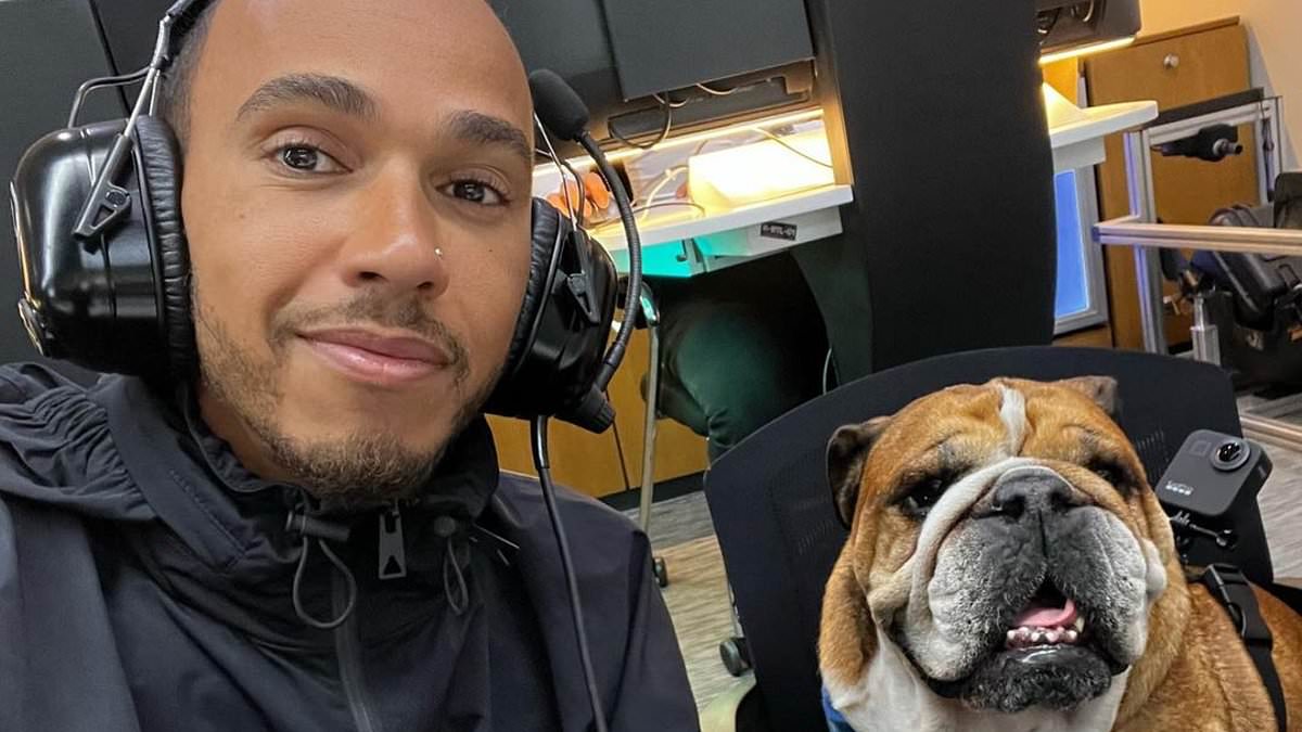 Hamilton Endures 'Scary Hours' as Roscoe's Health Worsens