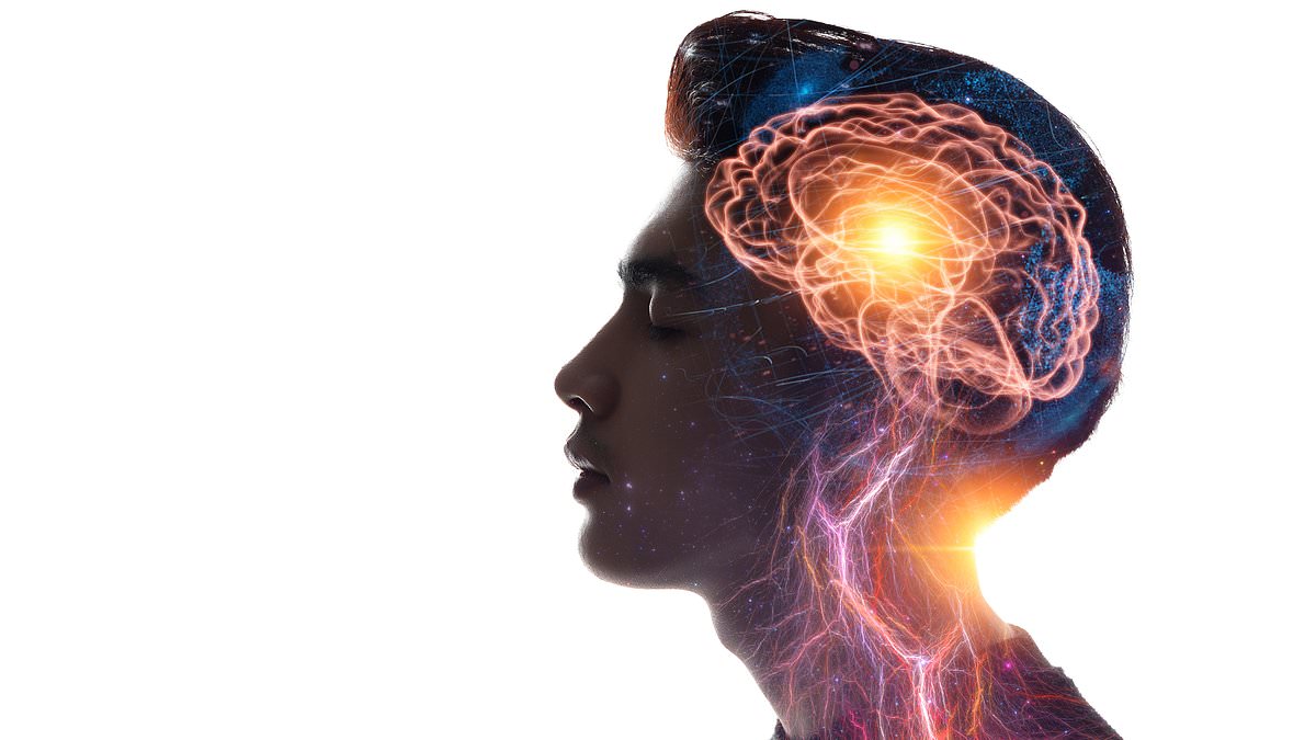 Ancient brain structures may underpin consciousness, Cambridge scientist says