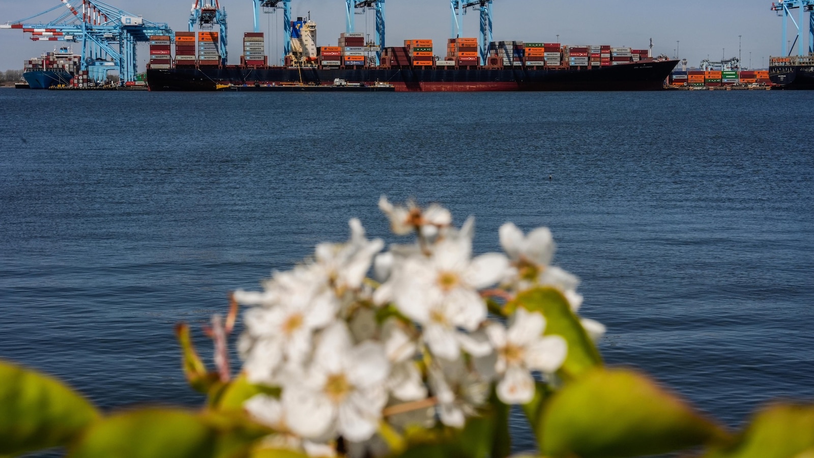 Nearly 200 Shipping Companies Back First Global Fee on Shipping Emissions as U.S. Opposes