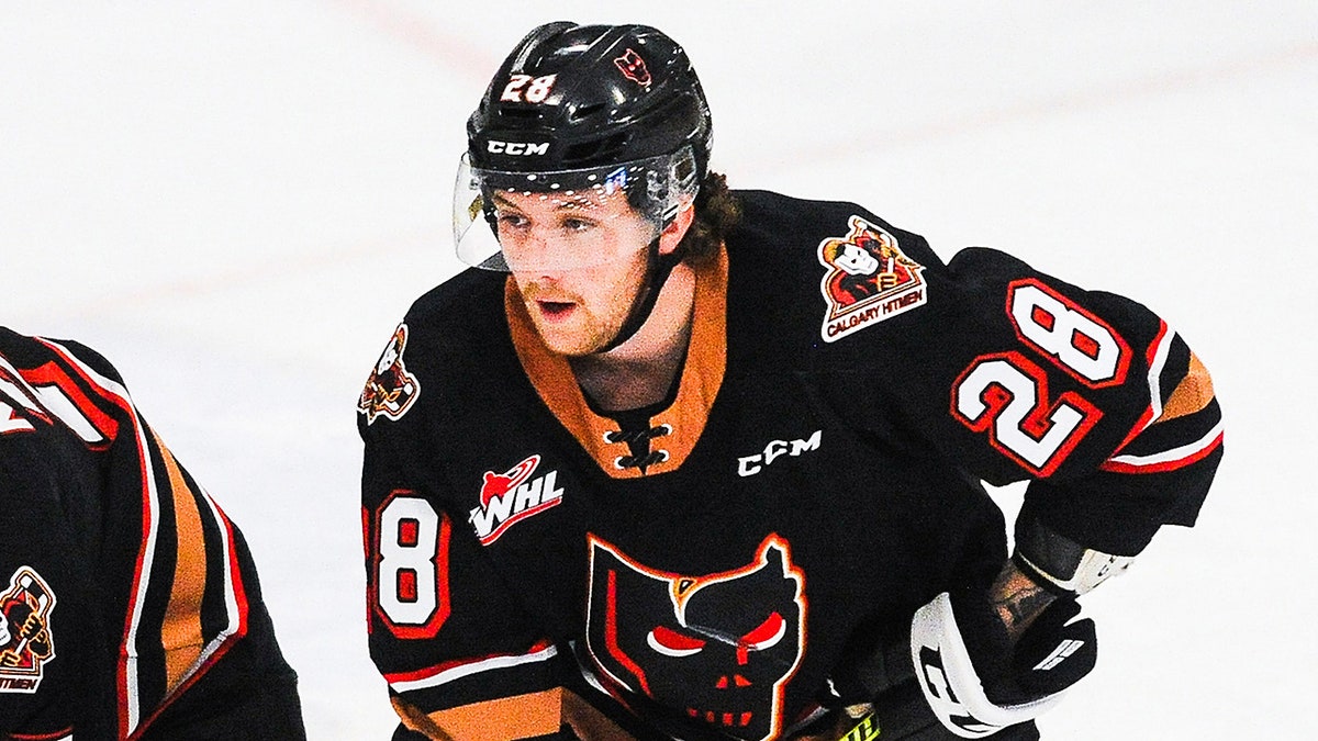 Orca Wiesblatt in action