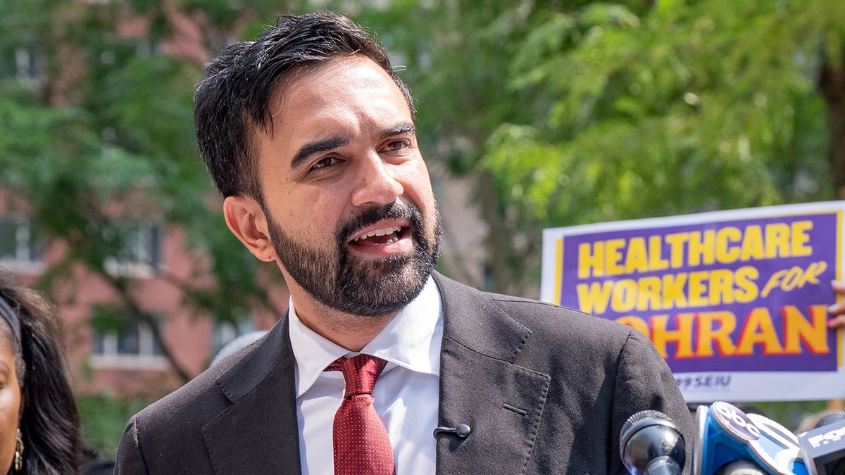 Zohran Mamdani grocery stores CNN