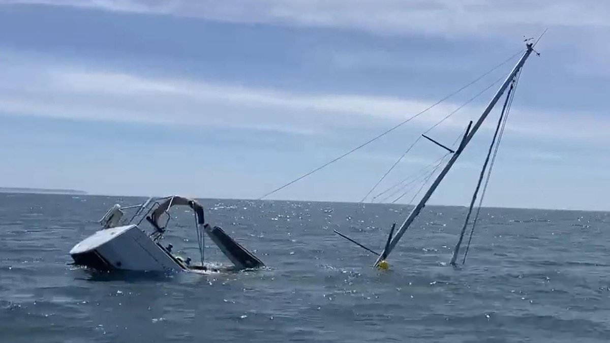 Scientists say orcas ramming boats are playing, not attacking; pod sank yacht off Portugal