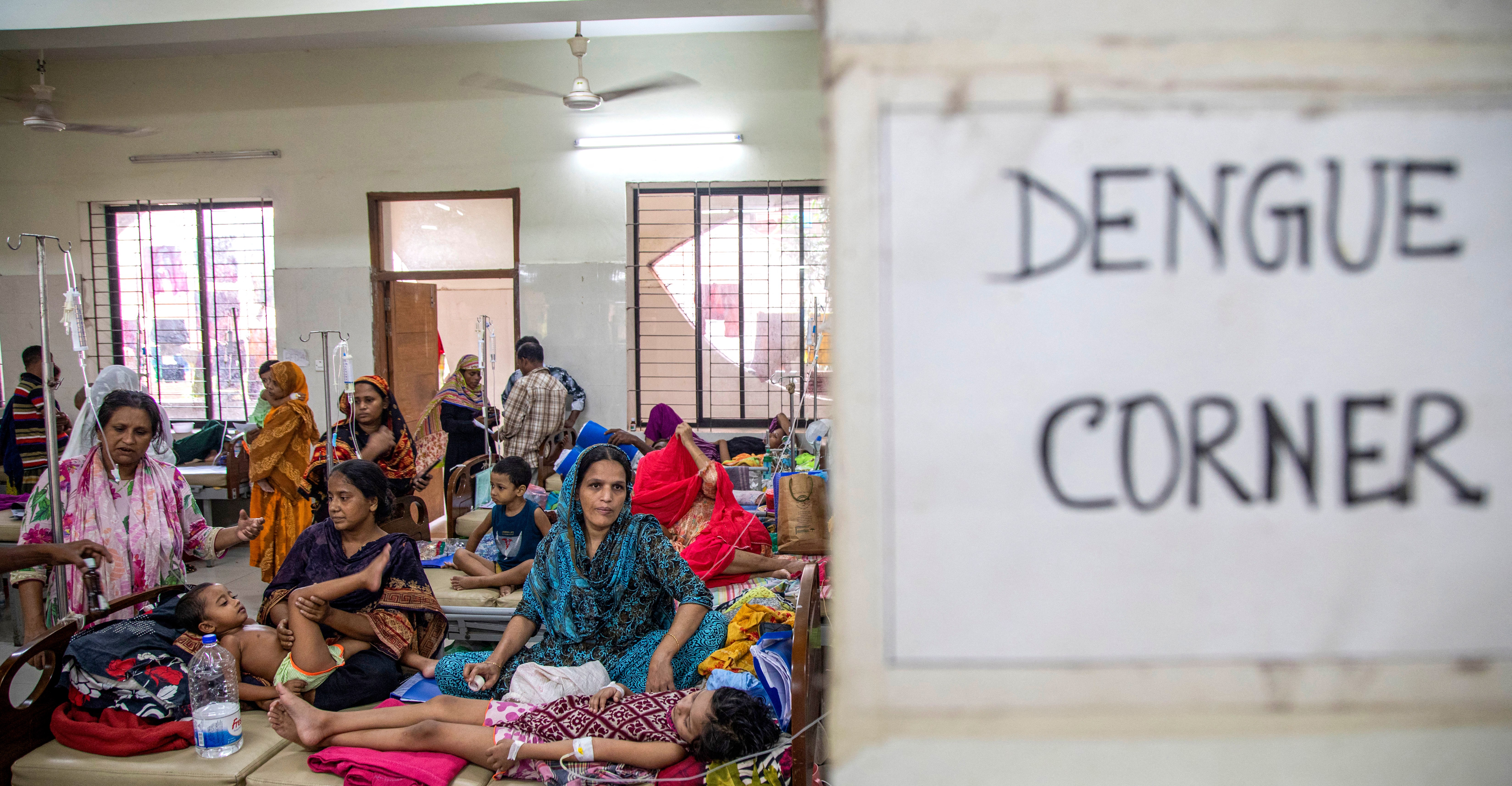 Dengue antiviral mosnodenvir shows promise, but sponsor exits