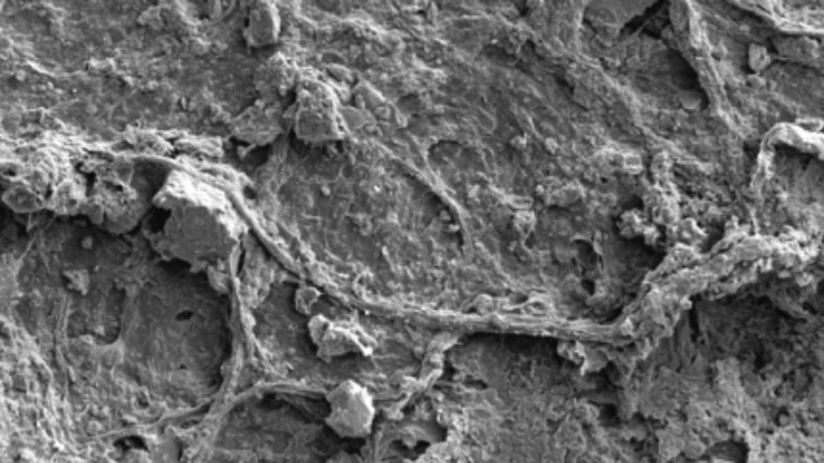 Biodegradable Wet Wipes Persist in Waterways for Weeks, Study Warns