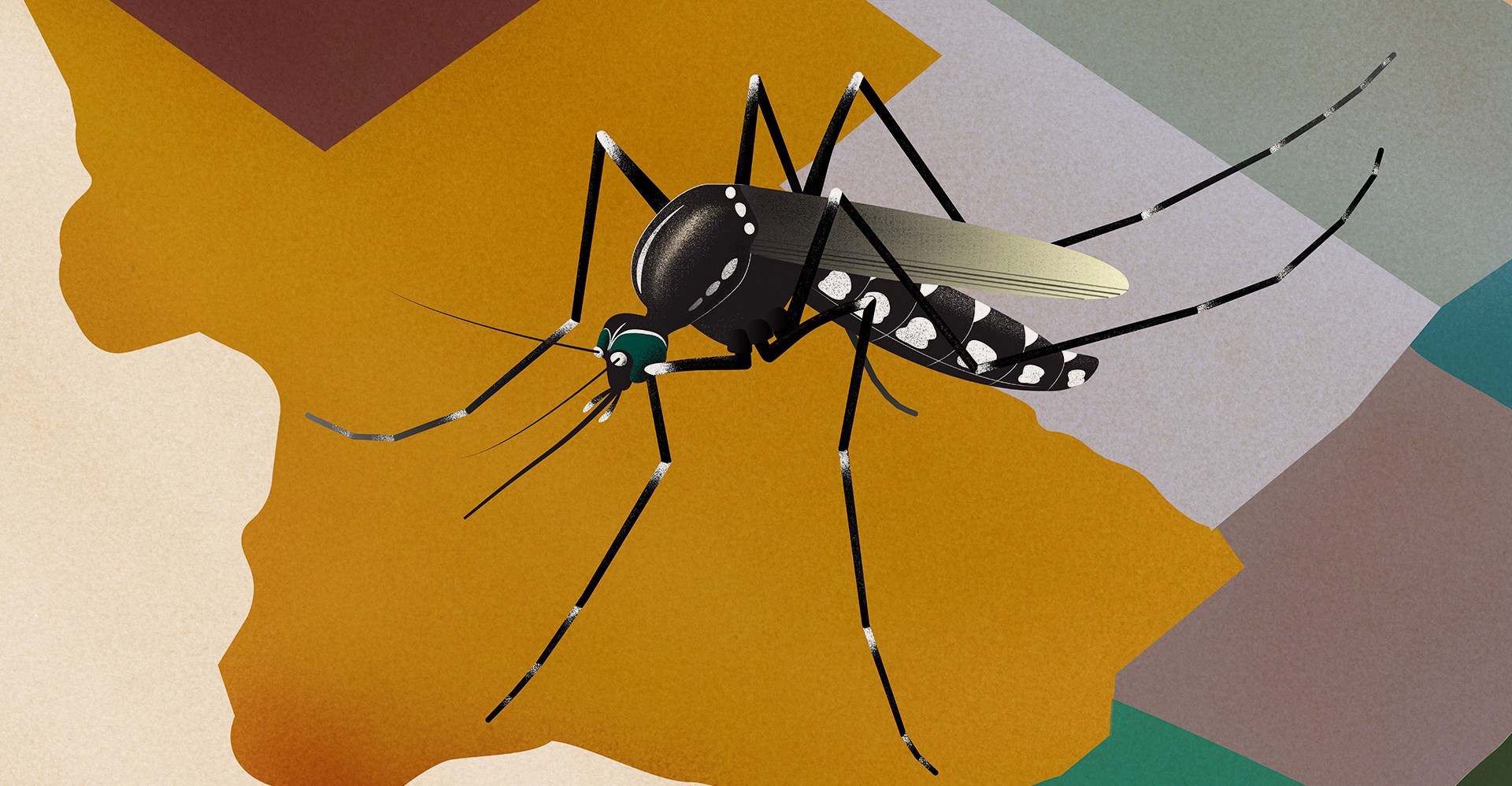 In Brownsville, Texas, an intensive mosquito surveillance program warns of a broader U.S. threat