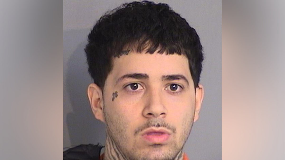 Luis Eluvar Gonzalez arrest