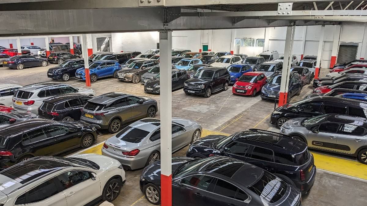 Police probe after 17 cars stolen from cruise parking facility in Southampton