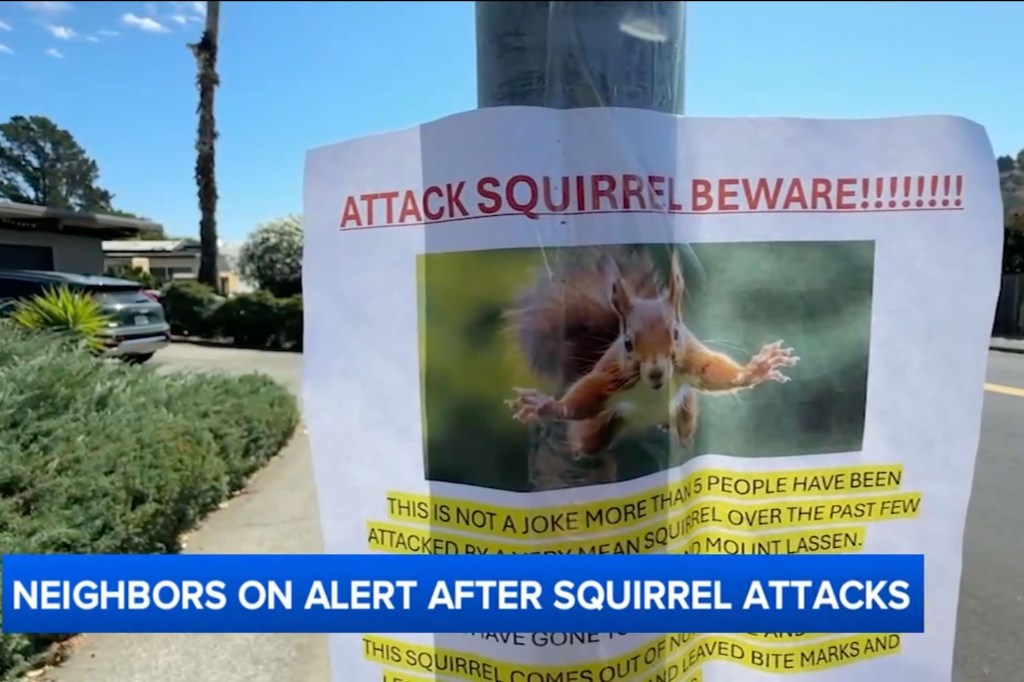 Neighbors outside a home