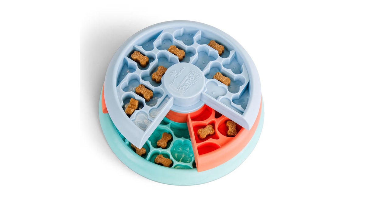 Dog puzzle toy on display