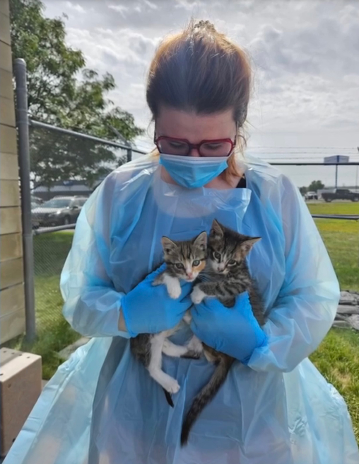 Staff move animals out of the shelter after the incident