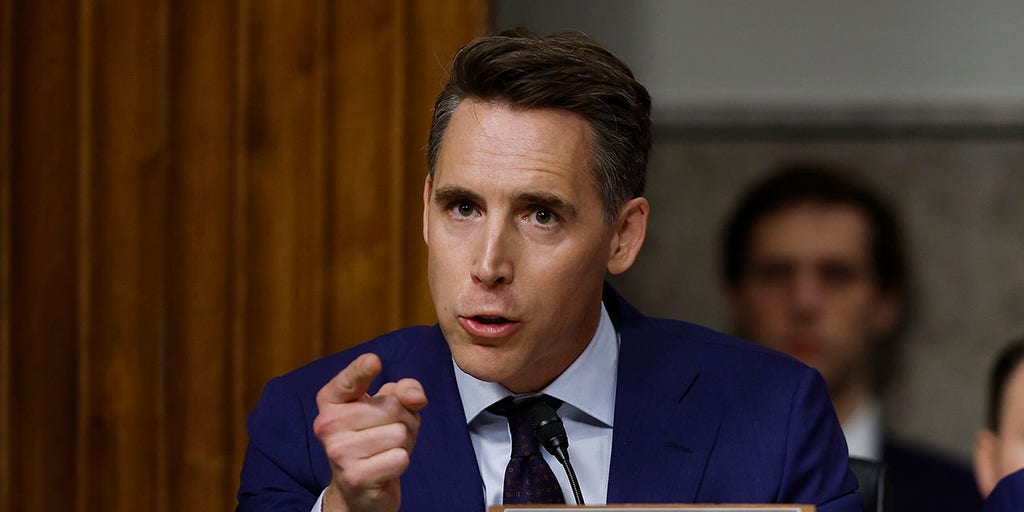 Senate Whistleblower Testimony Spurs Hawley Push to Let Families Sue Meta Over VR Child-Safety Claims