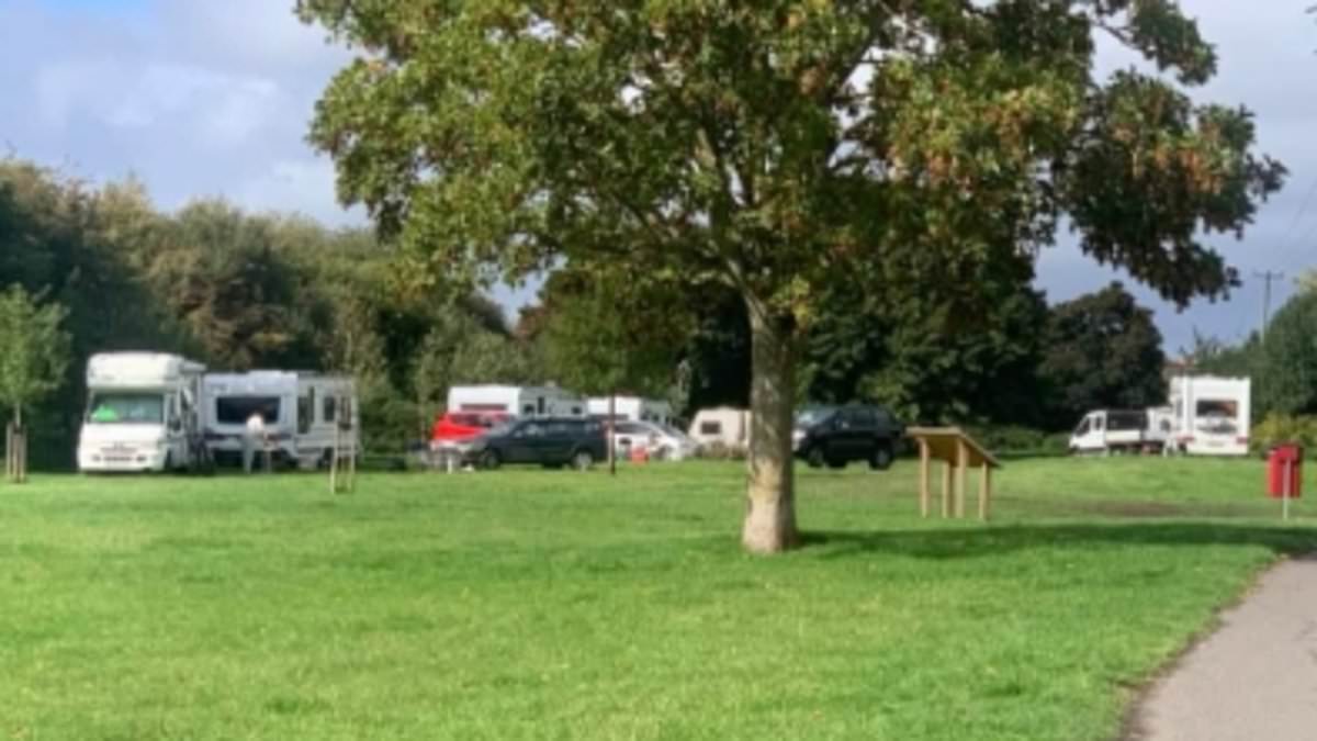 Travellers occupy Mowbray Fields nature reserve; goats stolen and recovered as residents report intimidation
