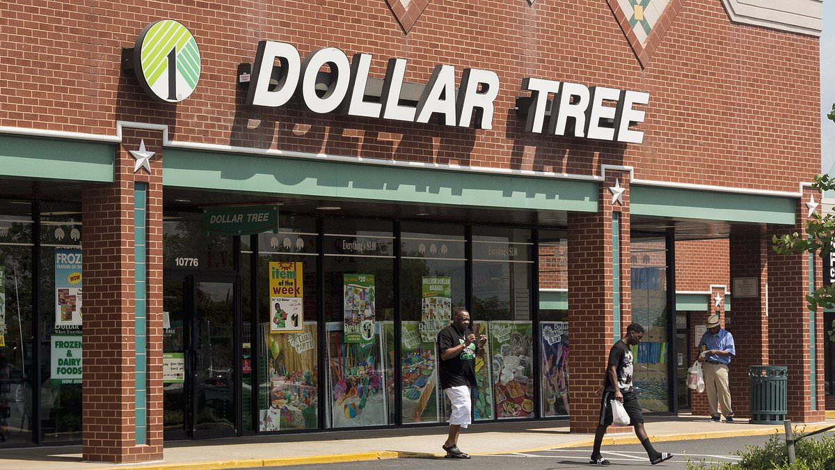 Dollar Tree shoppers flock to $1.50 glass that resembles Williams Sonoma’s design