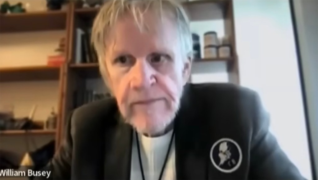 Gary Busey appears on Zoom for hearing