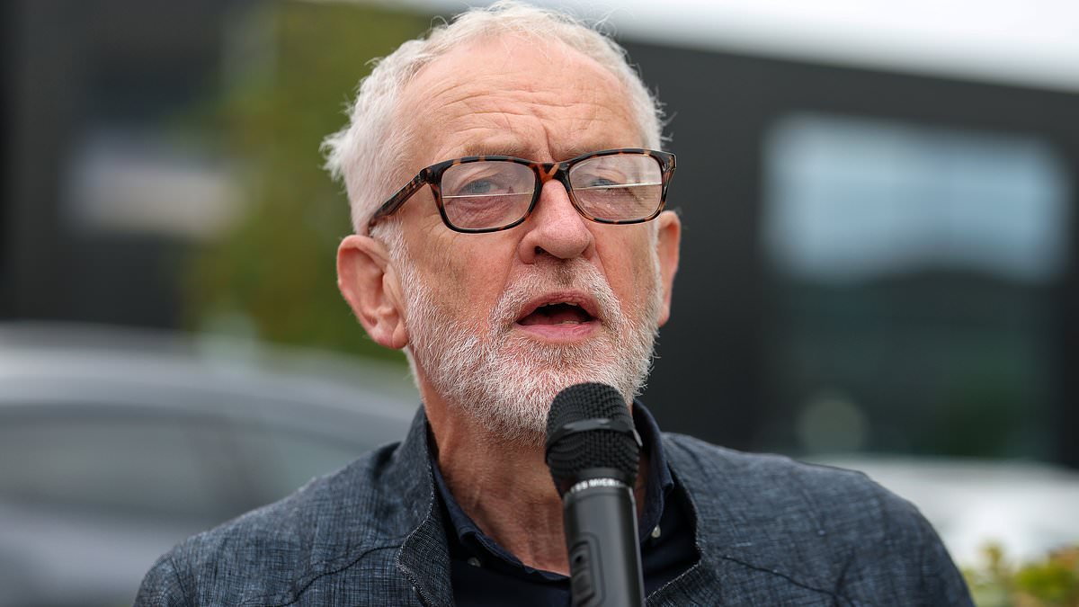 Sultana halts legal action to pursue unity with Corbyn as Your Party faces rift