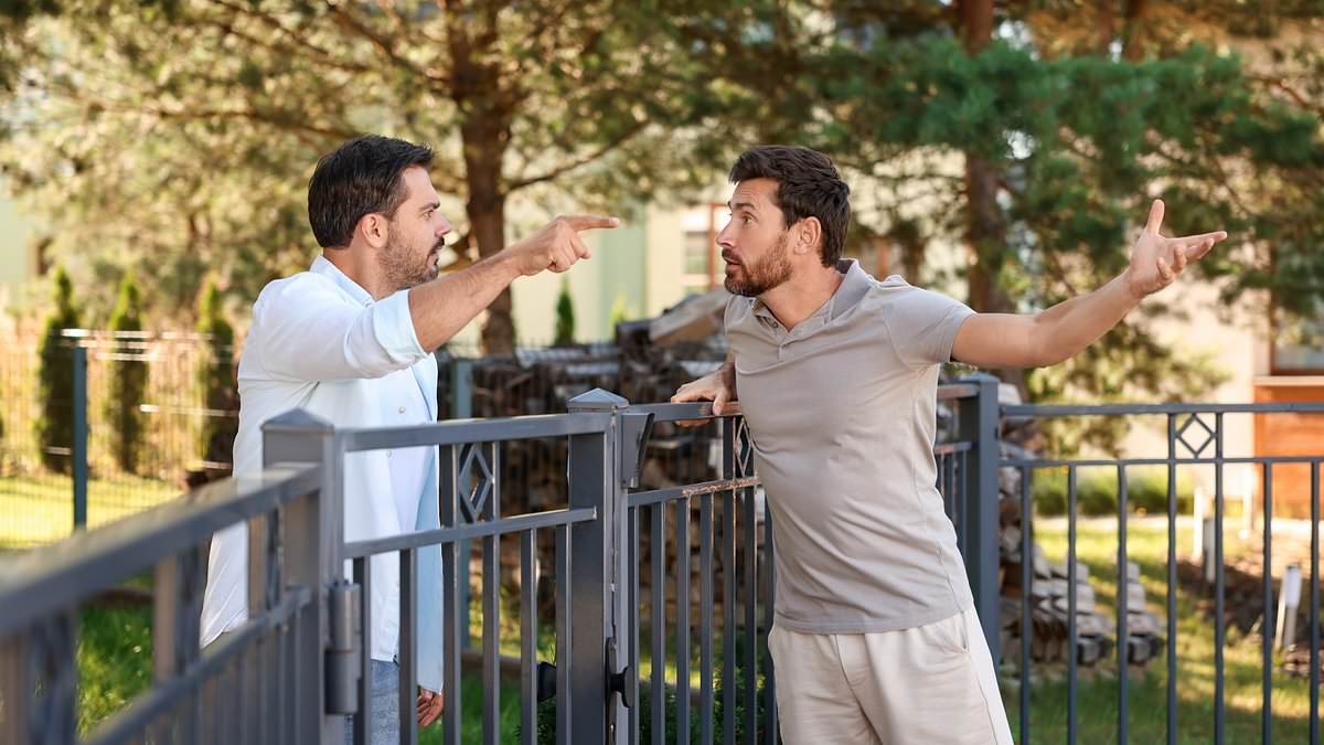 Legal and practical limits on trimming a neighbor’s overhanging tree, experts say