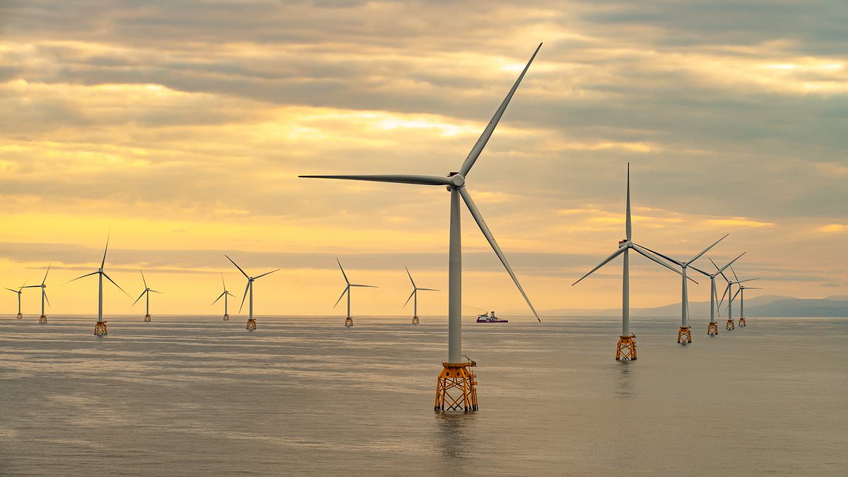 Apollo in Talks to Take 50% of Orsted’s Hornsea 3 as US Buyout Interest Grows in UK Windfarm