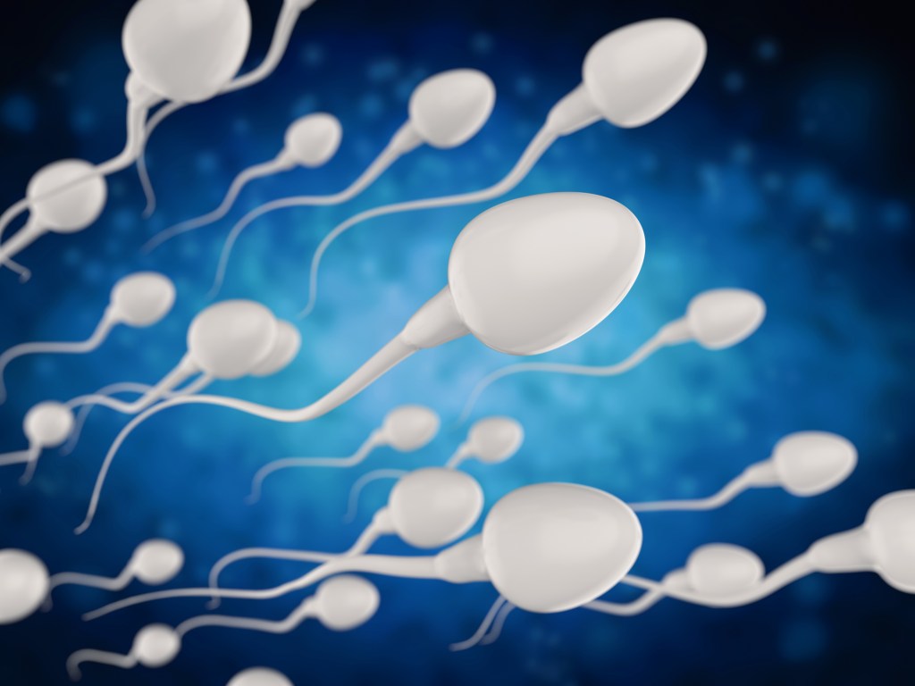 Acne Drug Isotretinoin Stimulates Sperm Production in Small Study of Severely Infertile Men