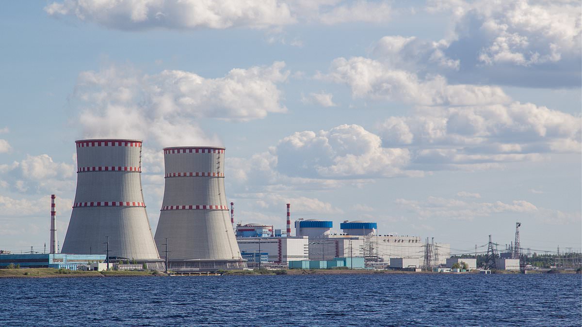 Nuclear Power Generation Reaches Record High, Supplies 9% of Global Electricity in 2024