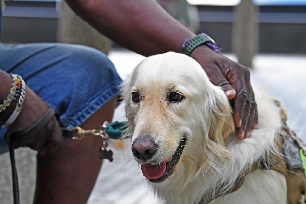 Jarvis and Ben during a recent outing
